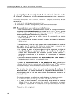 Microbiología y Medios de Cultivo – Práctica de Laboratorio 
100 
ej., especies patógenas de Neisseria), el efecto de este tratamiento sobre otras muchas es, sobre todo, bacteriostático, sin contar aquellos organismos psicrófilos o psicrotrofos. 
Los efectos de someter una suspensión bacteriana a temperaturas menores de 0oC dependen de: 
 el medio donde están suspendidas las bacterias; 
 el modo en que se realice la congelación y una ulterior descongelación. 
2.3.1. Congelación de la suspensión en un medio habitual. 
Cuando la temperatura es ligeramente inferior al punto de congelación del medio, el citoplasma queda en sobrefusión (sin congelar) entre -1 y -10oC. Pero como la tensión de vapor de agua en el interior es mayor que en el exterior, existe una tendencia a restablecer el equilibrio, que puede ser: 
 por pérdida de agua de la célula (cuando la congelación se efectúa lentamente), o bien 
 por cristalización de agua en el interior (cuando la congelación se realiza rápidamente). 
En ambos casos la consecuencia es que las sales intracelulares se concentran, lo que supone que la solución del citoplasma puede llegar a saturarse, con precipitación de sales. Ello conlleva varias consecuencias: 
 los cristales de sales y la alta concentración de electrolitos provocan la desnaturalización de proteínas y daños a la membrana, de modo que pueden salir componentes del citoplasma (fosfato, ribosa, péptidos y nucleótidos, procedentes de la actuación de ribonucleasas y peptidasas latentes). 
 Otro efecto de menor importancia es el daño mecánico a la pared celular y a la membrana provocada por los cristales de hielo. 
En general, el enfriamiento rápido es más lesivo que el lento, existiendo una velocidad óptima. Cuando una bacteria se enfría rápidamente a -35oC se producen cristales de hielo que provocan daños cuando la muestra se descongela. 
Por lo tanto, otro factor a tener en cuenta es la manera de realizarse la descongelación, y el número de ciclos de congelación-descongelación. La descongelación lenta es más letal que la rápida, ya que aumenta el volumen de cristales de hielo. 
El grado de muerte por congelación se puede desglosar en dos componentes: 
1. El efecto inmediato: muertes que ocurren al congelarse la muestra; 
2. El efecto de almacenamiento, consistente en la lenta pérdida de viabilidad debida al tiempo que permanecen las bacterias sobrevivientes en estado congelado, y que depende de la temperatura a la que se mantenga la muestra. 
Aplicaciones de la congelación:  