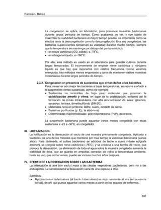 Ramirez - Balqui 
101 
La congelación se aplica, en laboratorio, para preservar muestras bacterianas durante largos periodos de tiempo. Como acabamos de ver, y con objeto de maximizar la viabilidad bacteriana el mayor tiempo posible, es importante cómo se efectúa tanto la descongelación como la descongelación. Una vez congeladas, las bacterias supervivientes conservan su viabilidad durante mucho tiempo, siempre que la temperatura se mantenga por debajo del punto eutéctico. 
 en nieve carbónica (CO2 sólido), a -78oC; 
 en nitrógeno líquido, a -180oC. 
Por ello, este método es usado en el laboratorio para guardar cultivos durante largas temporadas. El inconveniente de emplear nieve carbónica o nitrógeno líquido es que hay que reponerlos con relativa frecuencia. Como veremos enseguida, hay métodos menos engorrosos y caros de mantener viables muestras microbianas durante largos periodos de tiempo. 
2.3.2. Congelación en presencia de sustancias que evitan daños a las bacterias. 
Para preservar aún mejor las bacterias a bajas temperaturas, se recurre a añadir a la suspensión ciertas sustancias, como por ejemplo: 
 Sustancias no ionizables de bajo peso molecular que provocan la solidificación amorfa y vítrea, en lugar de la cristalización, evitando así la formación de zonas intracelulares con alta concentración de sales: glicerina, sacarosa, lactosa, dimetilsulfóxido (DMSO). 
 Materiales ricos en proteína: leche, suero, extracto de carne. 
 Proteínas purificadas (p. Ej., la albúmina). 
 Determinadas macromoléculas: polivinilpirrolidona (PVP), dextranos. 
La suspensión bacteriana puede aguantar varios meses congelada con estas sustancias a -25 a -30oC, en congelador. 
III. LIOFILIZACION. 
La liofilización es la desecación al vacío de una muestra previamente congelada. Aplicada a bacterias, es uno de los métodos que mantiene por más tiempo la viabilidad bacteriana (varios años). Para obtenerla, el cultivo bacteriano se adiciona de leche o suero (véase epígrafe anterior), se congela sobre nieve carbónica (-78oC), y se conecta a una bomba de vacío, que provoca la desecación. La eliminación de toda el agua sobre la muestra congelada aumenta la viabilidad de ésta, que se guarda en ampollas cerradas de vidrio a temperatura ambiente, hasta su uso, que como vemos, puede ser incluso muchos años después. 
IV. EFECTO DE LA DESECACION SOBRE LAS BACTERIAS 
La desecación al aire (sin vacío) mata a las células vegetativas bacterianas, pero no a las endosporas. La sensibilidad a la desecación varía de una especie a otra. 
Ejemplos: 
 Mycobacterium tuberculosis (el bacilo tuberculoso) es muy resistente al aire (en ausencia de luz), de ahí que pueda aguantar varios meses a partir de los esputos de enfermos.  