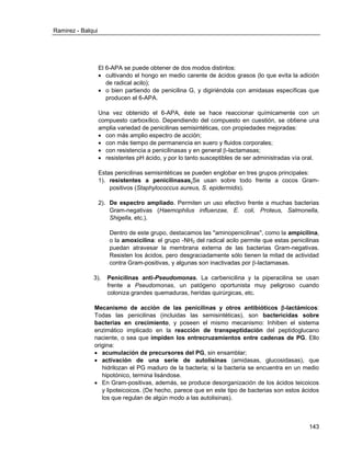 Ramirez - Balqui 
143 
El 6-APA se puede obtener de dos modos distintos: 
 cultivando el hongo en medio carente de ácidos grasos (lo que evita la adición de radical acilo); 
 o bien partiendo de penicilina G, y digiriéndola con amidasas específicas que producen el 6-APA. 
Una vez obtenido el 6-APA, éste se hace reaccionar químicamente con un compuesto carboxílico. Dependiendo del compuesto en cuestión, se obtiene una amplia variedad de penicilinas semisintéticas, con propiedades mejoradas: 
 con más amplio espectro de acción; 
 con más tiempo de permanencia en suero y fluidos corporales; 
 con resistencia a penicilinasas y en general -lactamasas; 
 resistentes pH ácido, y por lo tanto susceptibles de ser administradas vía oral. 
Estas penicilinas semisintéticas se pueden englobar en tres grupos principales: 
1). resistentes a penicilinasas.Se usan sobre todo frente a cocos Gram- positivos (Staphylococcus aureus, S. epidermidis). 
2). De espectro ampliado. Permiten un uso efectivo frente a muchas bacterias Gram-negativas (Haemophilus influenzae, E. coli, Proteus, Salmonella, Shigella, etc.). 
Dentro de este grupo, destacamos las "aminopenicilinas", como la ampicilina, o la amoxicilina: el grupo -NH2 del radical acilo permite que estas penicilinas puedan atravesar la membrana externa de las bacterias Gram-negativas. Resisten los ácidos, pero desgraciadamente sólo tienen la mitad de actividad contra Gram-positivas, y algunas son inactivadas por -lactamasas. 
3). Penicilinas anti-Pseudomonas. La carbenicilina y la piperacilina se usan frente a Pseudomonas, un patógeno oportunista muy peligroso cuando coloniza grandes quemaduras, heridas quirúrgicas, etc. 
Mecanismo de acción de las penicilinas y otros antibióticos -lactámicos: Todas las penicilinas (incluidas las semisintéticas), son bactericidas sobre bacterias en crecimiento, y poseen el mismo mecanismo: Inhiben el sistema enzimático implicado en la reacción de transpeptidación del peptidoglucano naciente, o sea que impiden los entrecruzamientos entre cadenas de PG. Ello origina: 
 acumulación de precursores del PG, sin ensamblar; 
 activación de una serie de autolisinas (amidasas, glucosidasas), que hidrilozan el PG maduro de la bacteria; si la bacteria se encuentra en un medio hipotónico, termina lisándose. 
 En Gram-positivas, además, se produce desorganización de los ácidos teicoicos y lipoteicoicos. (De hecho, parece que en este tipo de bacterias son estos ácidos los que regulan de algún modo a las autolisinas). 
 