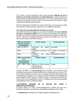 Microbiología y Medios de Cultivo – Práctica de Laboratorio 
144 
Por lo tanto, la acción bactericida y lítica de las penicilinas depende de que la bacteria se encuentre creciendo en un medio hipotónico. Cuando la bacteria no está creciendo, no está haciendo renovación ("turnover") de su pared celular, lo que implica que la penicilina no tiene "diana" sobre la que actuar; por lo tanto, en estas condiciones la bacteria puede sobrevivir. 
Esta es la base de las "recaídas" de muchas infecciones, una vez que se ha dado por terminado el tratamiento de un paciente con un antibiótico ß-lactámico. 
Una visión más en profundidad del mecanismo de acción: 
Las penicilinas tienen como dianas a una serie de autolisinas llamadas proteínas de unión a la penicilina (PBPs). Como ya vimos en el apartado 5 del capítulo 6, las PBPs son proteínas implicadas en las últimas fases de la síntesis y maduración del PG. Veamos en la siguiente tabla las funciones de las PBPs de E. coli, y los efectos sobre cada una al añadir penicilina. 
PBPs con actividad transglucosidasa y transpeptidasa: función natural acción penicilina 
PBP 1a y PBP 1b 
Elongación del cilindro celular 
lisis rápida 
PBP 2 
Condiciona la forma de la célula 
la célula se redondea y muere 
PBP 3 
Formación del septo transversal 
Filamentación y muerte PBPs con actividad D-D carboxipeptidasa (endopeptidasa) Función natural acción penicilina 
PBP 4, PBP 5, PBP 6 
Eliminan la D-ala terminal delpentapéptido (maduración PG) 
no letal 
Así pues, las PBPs 1 a 3 son esenciales para la bacteria, y son las dianas de las penicilinas que explican la actividad bactericida. Se ha propuesto que el grupo -CO- N- del anillo ß-lactámico funciona como un análogo estructural del sustrato de las transpeptidasas implicadas en la reacción de entrecruzamiento (transpeptidación) entre el péptido del PG naciente y el del PG aceptor. La penicilina se combina con el sitio activo de la transpeptidasa, dando un complejo enzima-penicilina (peniciloil- transpeptidasa) inactivo y bastante estable. 
-LACTÁMICOS BASADOS EN EL NÚCLEO DEL ÁCIDO 7- AMINOCEFALOSPORÁNICO 
El núcleo cefém es el ácido 7-aminocefalosporánico. Existen dos tipos de - lactámicos naturales (y sus derivados semisintéticos) basados en este núcleo: 
 cefalosporinas, producidas por hongos del género Cephalosporium;  