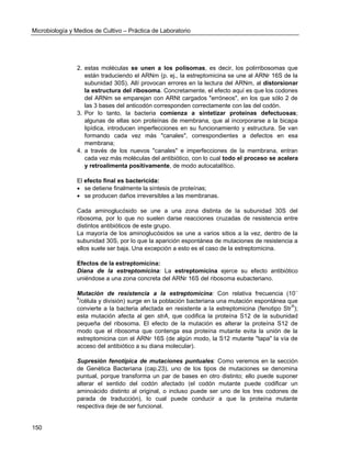 Microbiología y Medios de Cultivo – Práctica de Laboratorio 
150 
2. estas moléculas se unen a los polisomas, es decir, los polirribosomas que están traduciendo el ARNm (p. ej., la estreptomicina se une al ARNr 16S de la subunidad 30S). Allí provocan errores en la lectura del ARNm, al distorsionar la estructura del ribosoma. Concretamente, el efecto aquí es que los codones del ARNm se emparejan con ARNt cargados "erróneos", en los que sólo 2 de las 3 bases del anticodón corresponden correctamente con las del codón. 
3. Por lo tanto, la bacteria comienza a sintetizar proteínas defectuosas; algunas de ellas son proteínas de membrana, que al incorporarse a la bicapa lipídica, introducen imperfecciones en su funcionamiento y estructura. Se van formando cada vez más "canales", correspondientes a defectos en esa membrana; 
4. a través de los nuevos "canales" e imperfecciones de la membrana, entran cada vez más moléculas del antibiótico, con lo cual todo el proceso se acelera y retroalimenta positivamente, de modo autocatalítico. 
El efecto final es bactericida: 
 se detiene finalmente la síntesis de proteínas; 
 se producen daños irreversibles a las membranas. 
Cada aminoglucósido se une a una zona distinta de la subunidad 30S del ribosoma, por lo que no suelen darse reacciones cruzadas de resistencia entre distintos antibióticos de este grupo. 
La mayoría de los aminoglucósidos se une a varios sitios a la vez, dentro de la subunidad 30S, por lo que la aparición espontánea de mutaciones de resistencia a ellos suele ser baja. Una excepción a esto es el caso de la estreptomicina. 
Efectos de la estreptomicina: 
Diana de la estreptomicina: La estreptomicina ejerce su efecto antibiótico uniéndose a una zona concreta del ARNr 16S del ribosoma eubacteriano. 
Mutación de resistencia a la estreptomicina: Con relativa frecuencia (10-- 9/célula y división) surge en la población bacteriana una mutación espontánea que convierte a la bacteria afectada en resistente a la estreptomicina (fenotipo StrR); esta mutación afecta al gen strA, que codifica la proteína S12 de la subunidad pequeña del ribosoma. El efecto de la mutación es alterar la proteína S12 de modo que el ribosoma que contenga esa proteína mutante evita la unión de la estreptomicina con el ARNr 16S (de algún modo, la S12 mutante "tapa" la vía de acceso del antibiótico a su diana molecular). 
Supresión fenotípica de mutaciones puntuales: Como veremos en la sección de Genética Bacteriana (cap.23), uno de los tipos de mutaciones se denomina puntual, porque transforma un par de bases en otro distinto; ello puede suponer alterar el sentido del codón afectado (el codón mutante puede codificar un aminoácido distinto al original, o incluso puede ser uno de los tres codones de parada de traducción), lo cual puede conducir a que la proteína mutante respectiva deje de ser funcional.  
