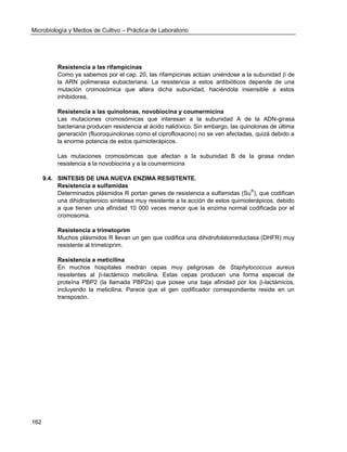 Microbiología y Medios de Cultivo – Práctica de Laboratorio 
162 
Resistencia a las rifampicinas 
Como ya sabemos por el cap. 20, las rifampicinas actúan uniéndose a la subunidad  de la ARN polimerasa eubacteriana. La resistencia a estos antibióticos depende de una mutación cromosómica que altera dicha subunidad, haciéndola insensible a estos inhibidores. 
Resistencia a las quinolonas, novobiocina y coumermicina 
Las mutaciones cromosómicas que interesan a la subunidad A de la ADN-girasa bacteriana producen resistencia al ácido nalidíxico. Sin embargo, las quinolonas de última generación (fluoroquinolonas como el ciprofloxacino) no se ven afectadas, quizá debido a la enorme potencia de estos quimioterápicos. 
Las mutaciones cromosómicas que afectan a la subunidad B de la girasa rinden resistencia a la novobiocina y a la coumermicina 
9.4. SINTESIS DE UNA NUEVA ENZIMA RESISTENTE. 
Resistencia a sulfamidas 
Determinados plásmidos R portan genes de resistencia a sulfamidas (SuR), que codifican una dihidropteroico sintetasa muy resistente a la acción de estos quimioterápicos, debido a que tienen una afinidad 10 000 veces menor que la enzima normal codificada por el cromosoma. 
Resistencia a trimetoprim 
Muchos plásmidos R llevan un gen que codifica una dihidrofolatorreductasa (DHFR) muy resistente al trimetoprim. 
Resistencia a meticilina 
En muchos hospitales medran cepas muy peligrosas de Staphylococcus aureus resistentes al -lactámico meticilina. Estas cepas producen una forma especial de proteína PBP2 (la llamada PBP2a) que posee una baja afinidad por los -lactámicos, incluyendo la meticilina. Parece que el gen codificador correspondiente reside en un transposón. 
 