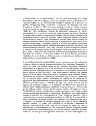 Ramirez - Balqui 
31 
El descubrimiento de la quimioautotrofía, obra del gran microbiólogo ruso Sergei Winogradsky (1856-1953), obligó a revisar los conceptos previos, procedentes de la Fisiología Vegetal, de que el crecimiento autotrófico dependía de la presencia de clorofila. Winogradsky había comenzado investigando las bacterias del hierro descubiertas por Cohn en 1875, observando que podían crecer en medios minerales, por lo que supuso que obtenían su energía de la oxidación de sales ferrosas a férricas (1888). En 1889, combinando técnicas de observación secuencial de cultivos microscópicos con ensayos microquímicos sobre bacterias del azufre (Beggiatoa, Thiothrix), infirió que estos microorganismos oxidaban sulfuro de hidrógeno hasta azufre elemental (acumulando éste como gránulos), y luego hasta ácido sulfúrico, obteniendo de este modo su energía. Estas observaciones pueden haber sido el arranque del concepto de litotrofía. Pero el descubrimiento de la quimioautotrofía llegó cuando al año siguiente Winogradsky y Omeliansky pasaron a estudiar las bacterias nitrificantes, demostrando de manera clara que la energía obtenida de la oxidación del amonio o del nitrito era usada para fijar CO2 (1889-1890). Más tarde el mismo Winogradsky extendió la demostración a cultivos puros en los que el agente solidificante de los medios era el gel de sílice. La explicación del proceso de oxidación de los compuestos de azufre no llegó hasta los estudios de Dangeard (1911) y Kiel (1912). Nuevas capacidades metabólicas fueron reveladas al estudiar los procesos respiratorios de las bacterias que oxidan hidrógeno o metano (Söhngen, 1906). 
El químico Berthelot había señalado (1885) que los microorganismos del suelo podían incorporar nitrógeno molecular directamente del aire. Fue igualmente Winogradsky el primero en aislar una bacteria capaz de fijar nitrógeno atmosférico (Clostridium pasteurianum) y en explicar el ciclo del nitrógeno en la naturaleza (1890), siendo el holandés Martinus Beijerinck (1851-1931) el descubridor de Azotobacter como bacteria aerobia fijadora de vida libre (1901). Más tarde Beijerinck demostró por métodos químicos que, en efecto, Azotobacter incorpora nitrógeno de la atmósfera mientras crece (1908). La importancia de la fijación de nitrógeno para la nutrición vegetal llegó con los estudios sobre bacterias formadoras de nódulos en las raíces de las leguminosas. Ya los experimentos cuantitativos sobre plantas creciendo en recipientes, realizados por Boussingault a mediados del siglo XIX, habían indicado que las leguminosas asimilaban nitrógeno de la atmósfera. En 1866 Voronin descubrió las bacterias de los nódulos radicales de esta familia de plantas. Frank, en 1879, demostró que los nódulos parecían inducirse por las mismas bacterias albergadas en ellos, y Ward (1887) usó bacterias procedentes de nódulos machacados para inocular semillas, logrando la producción de nódulos en suelo estéril, y describiendo en un bello trabajo el proceso de infección, con su producción de "hifas" (cordón de infección). Tras la introducción del concepto de simbiosis por De Bary, en 1878, fue Schindler (1884) el primero en describir los nódulos radicales como resultado de una simbiosis entre planta y bacterias. Los trabajos de Hermann Hellriegel (1831-1895) y de su colaborador Hermann Willfahrt (1853-1904), que trabajaban en la Estación Experimental de Bernburg, comunicados en primer lugar en un congreso en Berlín, en 1886, y publicados en un artículo ejemplar en 1888, asociaron la fertilidad nitrogenada natural de las leguminosas con la presencia de sus nódulos radicales, señalando que estos nódulos se inducían por microorganismos específicos; de este modo lograron una  