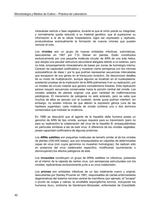 Microbiología y Medios de Cultivo – Práctica de Laboratorio 
42 
intracelular estricto o fase vegetativa, durante la que el virión pierde su integridad, y normalmente queda reducido a su material genético, que al superponer su información a la de la célula hospedadora, logra ser expresado y replicado, produciéndose eventualmente la formación de nuevos viriones que pueden reiniciar el ciclo. 
Los viroides son un grupo de nuevas entidades infectivas, subvirásicas, descubiertas en 1967 por T.O. Diener en plantas. Están constituidos exclusivamente por una pequeña molécula circular de ARN de una sola hebra, que adopta una peculiar estructura secundaria alargada debido a un extenso, pero no total, emparejamiento intracatenario de bases por zonas de homología interna. Carecen de capacidad codificadora y muestran cierta semejanza con los intrones autocatalíticos de clase I, por lo que podrían representar secuencias intercaladas que escaparon de sus genes en el transcurso evolutivo. Se desconocen detalles de su modo de multiplicación, aunque algunos se localizan en el nucleoplasma, existiendo pruebas de la implicación de la ARN polimerasa II en su replicación, por un modelo de círculo rodante que genera concatémeros lineares. Esta replicación parece requerir secuencias conservadas hacia la porción central del viroide. Los viroides aislados de plantas originan una gran variedad de malformaciones patológicas. El mecanismo de patogenia no está aclarado, pero se sabe que muchos de ellos se asocian con el nucleolo, donde quizá podrían interferir; sin embargo, no existen indicios de que alteren la expresión génica (una de las hipótesis sugeridas); cada molécula de viroide contiene uno o dos dominios conservados que modulan la virulencia. 
En 1986 se descubrió que el agente de la hepatitis delta humana posee un genomio de ARN de tipo viroide, aunque requiere para su transmisión (pero no para su replicación) la colaboración del virus de la hepatitis B, empaquetándose en partículas similares a las de este virus. A diferencia de los viroides vegetales, posee capacidad codificadora de algunas proteínas. 
Los ARNs satélites son pequeñas moléculas de tamaño similar al de los viroides de plantas (330-400 bases), que son empaquetados en cápsidas de determinadas cepas de virus (con cuyos genomios no muestran homologías). Se replican sólo en presencia del virus colaborador específico, modificando (aumentando o disminuyendo) los efectos patógenos de éste. 
Los virusoides constituyen un grupo de ARNs satélites no infectivos, presentes en el interior de la cápsida de ciertos virus, con semejanzas estructurales con los viroides, replicándose exclusivamente junto a su virus colaborador. 
Los priones son entidades infectivas de un tipo totalmente nuevo y original, descubiertas por Stanley Prusiner en 1981, responsables de ciertas enfermedades degenerativas del sistema nervioso central de mamíferos (por ejemplo, el "scrapie" o prurito de ovejas y cabras, la encefalitis espongiforme bovina), incluyendo los humanos (kuru, síndrome de Gerstmann-Straüssler, enfermedad de Creutzfeldt-  