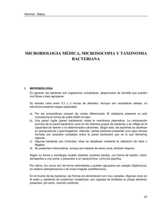 Ramirez - Balqui 
47 
MICROBIOLOGIA MÉDICA, MICROSOCOPIA Y TAXONOMIA BACTERIANA 
I. MICROBIOLOGIA 
En general, las bacterias son organismos unicelulares, desprovistos de clorofila que pueden vivir libres o bien agruparse. 
Su tamaño varia entre 0.2 y 3 micras de diámetro. Aunque son verdaderas células, su estructura presenta rasgos especiales: 
a) Por ser procarióticas carecen de núcleo diferenciado. El citiplasma presenta un solo cromosoma en forma de anillo (ADN circular). 
b) Una pared rígida (pared bacteriana) rodea la membrana plasmática. La composición química de la pared bacteriana varía en los distintos grupos de bacterias y se refleja en la capacidad de retener o no determinados colorantes. Según esto, las bacterias se clasifican en grampositivas o gramnegativas. Además, ciertas bacterias presentan una capa viscosa formada por azúcares complejos sobre la pared bacteriana que es lo que llamamos cápsula. 
c) Algunas bacterias son inmóviles; otras se desplazan mediante la utilización de cilios o flegelos. 
d) No presentan mitocondrias, aunque por tratarse de seres vivos, también respiran. 
Según su forma o morfología reciben distintos nombres bacilos, con forma de bastón; vibrio, semejantes a una coma; o parecidos a un sacacorchos, como los espirilos. 
Por último, los cocos son de forma redondeada y pueden agruparse por parejas (diplococos), en cadena (estreptococos) o de modo irregular (estafilococos). 
En el mundo de las bacterias, las formas de alimentación son muy variadas. Algunas viven en el suelo y, partiendo de sustancias inorgánicas, son capaces de sintetizar su propio alimento; presentan, por tanto, nutrición autótrofa. 
 