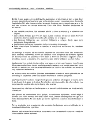 Microbiología y Medios de Cultivo – Práctica de Laboratorio 
48 
Dentro de este grupo podemos distinguir las que realizan la fotosíntesis, si bien se trata de un proceso algo distinto del que tiene lugar en las plantas; poseen variedades únicas de clorofila (bacterioclorofila), y las que aprovechan la energía de ciertas reacciones químicas (y no la del sol) para construir sus propias sustancias. Entre ésta última, llamadas quimiotrofas, se encuentran: 
 Las bacterias sulfurosas, que adsorben azúcar (o ácido sulfhídrico) y lo combinan con oxígeno. 
 Las bacterias ferricas, que viven en aguas dulces o saladas en las que existe hierro en disolución; absorben estos compuestos y los combina con el oxígeno. 
 Las bacterias hidrógenas, que combinan hidrógeno y oxígeno dando agua como subproducto de su actividad. 
 Las bacterias nitrificantes, que oxidan ciertos compuestos nitrogenados. 
 Estos cuatros tipos de bacterias aprovechan la energía que se libera en las reacciones descritas. 
Sin embargo, la mayoría de las bacterias dependen de otros seres vivos para alimentarse. Estas bacterias, heterótrofas, pueden ser saprofitas y vivir a expensas de la materia orgánica en descomposición, los parásitos si viven sobre o dentro de animales o vegetales vivos, o simbióticas cuando se asocian a otros organismos para obtener ambos un beneficio mutuo. 
Las bacterias viven en todo tipo de medios: en el agua, en la tierra y en los seres vivos. En este último caso pueden tener efectos benéficos para el organismo en el que se encuentran, como sucede por ejemplo con unas bacterias del intestino del hombre, que producen una sustancia muy importante: la vitamina K.. 
En muchos casos las bacterias producen enfermedades cuando se hallan presentes en los animales y en las plantas. En tal caso reciben el nombre de bacterias patógenas. 
Las "insignificantes" bacterias han producido grandes epidemias a lo largo de la historia, como lo es el caso de la peste o el cólera. Pero también son responsables de enfermedades muy comunes entre nosotros, tales como el canto o las anginas. 
La reproducción más típica en las bacterias es la asexual, multiplicándose por simple escisión o bipartición. 
Este proceso es enormemente eficaz porque, en condiciones apropiadas, pueden llegar a dividirse cada veinte minutos. A las seis o sietes horas, una sólo bacteria puede dar lugar a un millón de descendiente. No cabe duda, que son los organismos vivos más abundantes sobre la tierra. 
Por su simplicidad ante organismos más complejos, las bacterias son muy utilizadas en la investigación bioquímica y genética. 
Algunos bacilos tienen la propiedad de formar estructuras de resistencia o esporas cuando las condiciones se vuelven adversas.  