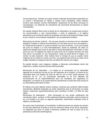 Ramirez - Balqui 
51 
inmunocitoquímica. También se puede inyectar moléculas fluorescentes específicas en un animal o directamente en células y usarlas como marcadores. Estos métodos sirvieron para estudiar uniones intercelulares, trayectorias de las fibras nerviosas en neurobiología y en detección de marcadores del crecimiento fluorescentes en tejidos mineralizados. 
Se insertan distintos filtros entre la fuente de luz ultravioleta y la muestra para producir luz monocromática o casi monocromática, o entre el espécimen y el objetivo permitiendo que la estrecha banda de longitudes de onda de fluorescencia llegue hasta el ojo o incida en una emulación fotográfica u otro procedimiento analítico. 
Microscopio de barrido confocal – Se usa para estudiar la estructura de los materiales biológicos. Emplea un sistema de iluminación con rayo láser que es muy convergente y, en consecuencia produce un punto de barrido muy poco profundo. La luz que emerge del punto es dirigida a un tubo fotomultiplicador, donde es analizada. Se utiliza un sistema de espejos para mover el rayo láser a través del espécimen, iluminando un solo punto por vez. Se registran los datos de cada punto de la muestra recorrida con este rayo móvil y se guardan en una computadora. Luego se puede llevar la imagen a un monitor de alta resolución. Este método tiene la ventaja de que se pueden tomar imágenes de la muestra en cortes muy finos. Las regiones fuera de foco se restan de la imagen mediante un programa para dar una definición máxima a la imagen. 
Es posible también crear imágenes múltiples a diferentes profundidades dentro del espécimen y realizar reconstrucciones tridimensionales. 
Microscopio de luz ultravioleta – La imagen en el microscopio de luz ultravioleta depende de la absorción de esa luz por las moléculas de la muestra. La fuente de luz ultravioleta tiene una longitud de onda de 200 nm, por lo tanto puede alcanzar una resolución de 0,1 m. La microscopia ultravioleta no es muy diferente del funcionamiento de un espectrofotómetro pero sus resultados son registrados en fotografías. La muestra no se puede observar directamente a través del ocular porque la luz ultravioleta puede dañar la retina. 
El método sirve para detectar ácidos nucleicos, proteínas que contienen determinados aminoácidos. Mediante longitudes de ondas específicas para la iluminación se puede obtener mediciones espectrofotométricas para cuantificar el DNA y el RNA de cada célula. Microscopio de polarización – Este microscopio es una simple modificación del microscopio óptico, contiene un filtro polarizante llamado polarizador entre la fuente de luz y la muestra y se ubica un segundo polarizador, denominado analizador entre el objetivo y el observador. 
Se puede rotar el polarizador y el analizador; la diferencia entre sus ángulos de rotación se usa para determinar el grado en que una estructura afecta el haz de luz polarizada. La capacidad que tiene un cristal o estructura cristalina de rotar el plano de la luz polarizada se denomina birrefringencia.  