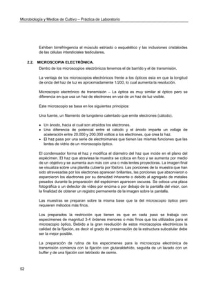 Microbiología y Medios de Cultivo – Práctica de Laboratorio 
52 
Exhiben birrefringencia el músculo estriado o esquelético y las inclusiones cristaloides de las células intersticiales testiculares. 
2.2. MICROSCOPIA ELECTRÓNICA. 
Dentro de los microscopios electrónicos tenemos el de barrido y el de transmisión. 
La ventaja de los microscopios electrónicos frente a los ópticos esta en que la longitud de onda del haz de luz es aproximadamente 1/200, lo cual aumenta la resolución. 
Microscopio electrónico de transmisión – La óptica es muy similar al óptico pero se diferencia en que usa un haz de electrones en vez de un haz de luz visible. 
Este microscopio se basa en los siguientes principios: 
Una fuente, un filamento de tungsteno calentado que emite electrones (cátodo). 
 Un ánodo, hacia el cual son atraídos los electrones. 
 Una diferencia de potencial entre el cátodo y el ánodo imparte un voltaje de aceleración entre 20.000 y 200.000 voltios a los electrones, que crea la haz. 
 El haz pasa por una serie de electroimanes que tienen las mismas funciones que las lentes de vidrio de un microscopio óptico. 
El condensador forma el haz y modifica el diámetro del haz que incide en el plano del espécimen. El haz que atraviesa la muestra se coloca en foco y se aumenta por medio de un objetivo y se aumenta aun más con una o más lentes proyectoras. La imagen final se visualiza sobre una planilla cubierta por fósforo. Las porciones de la muestra que han sido atravesadas por los electrones aparecen brillantes, las porciones que absorvieron o esparcieron los electrones por su densidad inherente o debido al agregado de metales pesados durante la preparación del espécimen aparecen oscuras. Se coloca una placa fotográfica o un detector de video por encima o por debajo de la pantalla del visor, con la finalidad de obtener un registro permanente de la imagen sobre la pantalla. 
Las muestras se preparan sobre la misma base que la del microscopio óptico pero requieren métodos más finos. 
Los preparados la restricción que tienen es que en cada paso se trabaja con especimenes de magnitud 3-4 órdenes menores o más finos que los utilizados para el microscopio óptico. Debido a la gran resolución de estos microscopios electrónicos la calidad de la fijación, es decir el grado de preservación de la estructura subcelular debe ser la mejor posible. 
La preparación de rutina de los especimenes para la microscopia electrónica de transmisión comienza con la fijación con glutaraldehído, seguida de un lavado con un buffer y de una fijación con tetróxido de osmio.  