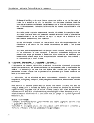 Microbiología y Medios de Cultivo – Práctica de Laboratorio 
54 
Se logra el barrido con el mismo tipo de rastreo que explora el haz de electrones a través de la superficie un tubo de televisión. Los electrones reflejados desde la superficie y los electrones forzados hacia el exterior de la superficie son captados por uno o más detectores y reprocesados para formar una imagen tridimensional en una televisión. 
Se pueden tomar fotografías para registrar los datos o la imagen en una cinta de video. Se pueden usar otros detectores para medir los rayos X emitidos desde la superficie, la catodoluminiscencia de las moléculas del tejido por debajo de la superficie y los electrones de Auger emitidos en la superficie. 
Muchos microscopios combinan las características de un microscopio electrónico de transmisión y de barrido, el cual permite microanálisis por rayos X con sonda electrónica. 
Se pueden adosar detectores al microscopio para reunir los rayos X emitidos cuando el haz de bombardea el corte histológico, y mediante analizadores apropiados se construye un mapa que muestra la distribución en los cortes de los elementos que tienen número atómico mayor de 12, en concentración suficiente para producir rayos X en cantidad tal que se pueda analizar. 
III. TAXONOMIA BACTERIANA. CATEGORIAS TAXONOMICAS. 
En el caso de las bacterias, el concepto de especie, un grupo de organismos que pueden reproducirse entre ellos y dar descendencia fértil, no es apropiado, pues su reproducción es asexual. En microbiología se dice que una especie está formada por un conjunto de poblaciones clonales, o cepas, que se parecen mucho entre ellas y se pueden diferenciar de otros grupos de bacterias. 
La clasificación, de las bacterias se hace principalmente basándose en propiedades bioquímicas, fisiológicas y ecológicas, como por ejemplo ser aeróbicas, anaeróbicas o aerobias facultativas. 
Para clasificar una bacteria, primero hay que aislarla para obtener un cultivo puro. Esto se consigue distribuyendo la muestra, de manera que al sembrar las bacterias se desarrollen separadamente y se pueda aislar un clon en concreto. Después este se ha de sembrar en diferentes medios de cultivo, convenientemente preparados para realizar diferentes pruebas y observar el tipo de crecimiento que se produce en ellos, por ejemplo ver si puede degradar la lactosa o no, etc. 
Niveles Taxonómicos: 
Taxonomía.- Conjunto de técnicas y procedimientos para ordenar y agrupar a los seres vivos en grupos afines o taxones. 
Sistemática.- Se encarga de agrupar a los seres vivos de acuerdo a criterios de semejanzas y diferencias y relaciones evolutivas. Establece árboles genealógicos: 
 