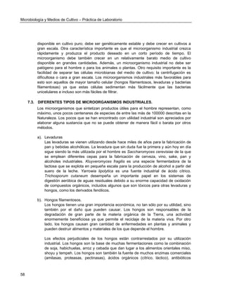 Microbiología y Medios de Cultivo – Práctica de Laboratorio 
58 
disponible en cultivo puro; debe ser genéticamente estable y debe crecer en cultivos a gran escala. Otra característica importante es que el microorganismo industrial crezca rápidamente y produzca el producto deseado en un corto período de tiempo. El microorganismo debe también crecer en un relativamente barato medio de cultivo disponible en grandes cantidades. Además, un microorganismo industrial no debe ser patógeno para el hombre o para los animales o plantas. Otro requisito importante es la facilidad de separar las células microbianas del medio de cultivo; la centrifugación es dificultosa o cara a gran escala. Los microorganismos industriales más favorables para esto son aquellos de mayor tamaño celular (hongos filamentosos, levaduras y bacterias filamentosas) ya que estas células sedimentan más fácilmente que las bacterias unicelulares e incluso son más fáciles de filtrar. 
7.3. DIFERENTES TIPOS DE MICROORGANISMOS INDUSTRIALES. 
Los microorganismos que sintetizan productos útiles para el hombre representan, como máximo, unos pocos centenares de especies de entre las más de 100000 descritas en la Naturaleza. Los pocos que se han encontrado con utilidad industrial son apreciados por elaborar alguna sustancia que no se puede obtener de manera fácil o barata por otros métodos. 
a). Levaduras 
Las levaduras se vienen utilizando desde hace miles de años para la fabricación de pan y bebidas alcohólicas. La levadura que sin duda fue la primera y aún hoy en día sigue siendo la más utilizada por el hombre es Saccharomyces cerevisiae de la que se emplean diferentes cepas para la fabricación de cerveza, vino, sake, pan y alcoholes industriales. Kluyveromyces fragilis es una especie fermentadora de la lactosa que se explota en pequeña escala para la producción de alcohol a partir del suero de la leche. Yarrowia lipolytica es una fuente industrial de ácido cítrico. Trichosporum cutaneum desempeña un importante papel en los sistemas de digestión aeróbica de aguas residuales debido a su enorme capacidad de oxidación de compuestos orgánicos, incluidos algunos que son tóxicos para otras levaduras y hongos, como los derivados fenólicos. 
b). Hongos filamentosos. 
Los hongos tienen una gran importancia económica, no tan sólo por su utilidad, sino también por el daño que pueden causar. Los hongos son responsables de la degradación de gran parte de la materia orgánica de la Tierra, una actividad enormemente beneficiosa ya que permite el reciclaje de la materia viva. Por otro lado, los hongos causan gran cantidad de enfermedades en plantas y animales y pueden destruir alimentos y materiales de los que depende el hombre. 
Los efectos perjudiciales de los hongos están contrarrestados por su utilización industrial. Los hongos son la base de muchas fermentaciones como la combinación de soja, habichuelas, arroz y cebada que dan lugar a los alimentos orientales miso, shoyu y tempeh. Los hongos son también la fuente de muchos enzimas comerciales (amilasas, proteasas, pectinasas), ácidos orgánicos (cítrico, láctico), antibióticos  