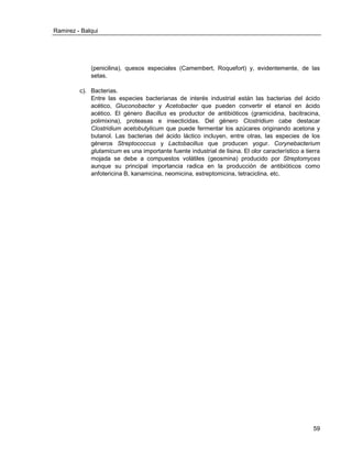 Ramirez - Balqui 
59 
(penicilina), quesos especiales (Camembert, Roquefort) y, evidentemente, de las setas. 
c). Bacterias. Entre las especies bacterianas de interés industrial están las bacterias del ácido acético, Gluconobacter y Acetobacter que pueden convertir el etanol en ácido acético. El género Bacillus es productor de antibióticos (gramicidina, bacitracina, polimixina), proteasas e insecticidas. Del género Clostridium cabe destacar Clostridium acetobutylicum que puede fermentar los azúcares originando acetona y butanol. Las bacterias del ácido láctico incluyen, entre otras, las especies de los géneros Streptococcus y Lactobacillus que producen yogur. Corynebacterium glutamicum es una importante fuente industrial de lisina. El olor característico a tierra mojada se debe a compuestos volátiles (geosmina) producido por Streptomyces aunque su principal importancia radica en la producción de antibióticos como anfotericina B, kanamicina, neomicina, estreptomicina, tetraciclina, etc. 
 