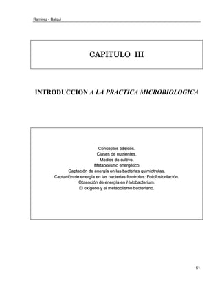 Ramirez - Balqui 
61 
CAPITULO III 
INTRODUCCION A LA PRACTICA MICROBIOLOGICA 
Concepttos básiicos.. 
Cllases de nuttrriienttes.. 
Mediios de cullttiivo.. 
Mettabolliismo enerrgéttiico 
Capttaciión de enerrgíía en llas bactterriias quiimiiottrroffas.. 
Capttaciión de enerrgíía en llas bactterriias ffottottrroffas:: Fottoffosfforriillaciión.. 
Obttenciión de enerrgíía en Hallobactterriium.. 
Ell oxíígeno y ell mettabolliismo bactterriiano.. 
 