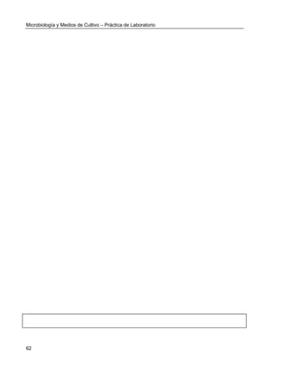 Microbiología y Medios de Cultivo – Práctica de Laboratorio 
62 
 