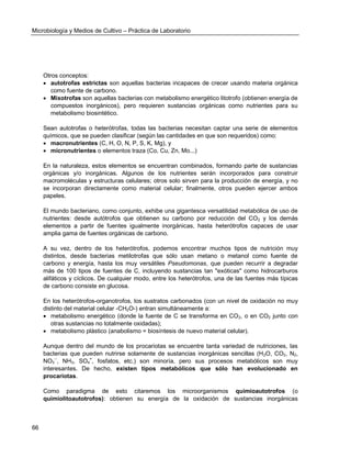 Microbiología y Medios de Cultivo – Práctica de Laboratorio 
66 
Otros conceptos: 
 autotrofas estrictas son aquellas bacterias incapaces de crecer usando materia orgánica como fuente de carbono. 
 Mixotrofas son aquellas bacterias con metabolismo energético litotrofo (obtienen energía de compuestos inorgánicos), pero requieren sustancias orgánicas como nutrientes para su metabolismo biosintético. 
Sean autotrofas o heterótrofas, todas las bacterias necesitan captar una serie de elementos químicos, que se pueden clasificar (según las cantidades en que son requeridos) como: 
 macronutrientes (C, H, O, N, P, S, K, Mg), y 
 micronutrientes o elementos traza (Co, Cu, Zn, Mo...) 
En la naturaleza, estos elementos se encuentran combinados, formando parte de sustancias orgánicas y/o inorgánicas. Algunos de los nutrientes serán incorporados para construir macromoléculas y estructuras celulares; otros solo sirven para la producción de energía, y no se incorporan directamente como material celular; finalmente, otros pueden ejercer ambos papeles. 
El mundo bacteriano, como conjunto, exhibe una gigantesca versatilidad metabólica de uso de nutrientes: desde autótrofos que obtienen su carbono por reducción del CO2 y los demás elementos a partir de fuentes igualmente inorgánicas, hasta heterótrofos capaces de usar amplia gama de fuentes orgánicas de carbono. 
A su vez, dentro de los heterótrofos, podemos encontrar muchos tipos de nutrición muy distintos, desde bacterias metilotrofas que sólo usan metano o metanol como fuente de carbono y energía, hasta los muy versátiles Pseudomonas, que pueden recurrir a degradar más de 100 tipos de fuentes de C, incluyendo sustancias tan "exóticas" como hidrocarburos alifáticos y cíclicos. De cualquier modo, entre los heterótrofos, una de las fuentes más típicas de carbono consiste en glucosa. 
En los heterótrofos-organotrofos, los sustratos carbonados (con un nivel de oxidación no muy distinto del material celular -CH2O-) entran simultáneamente a: 
 metabolismo energético (donde la fuente de C se transforma en CO2, o en CO2 junto con otras sustancias no totalmente oxidadas); 
 metabolismo plástico (anabolismo = biosíntesis de nuevo material celular). 
Aunque dentro del mundo de los procariotas se encuentre tanta variedad de nutriciones, las bacterias que pueden nutrirse solamente de sustancias inorgánicas sencillas (H2O, CO2, N2, NO3--, NH3, SO4=, fosfatos, etc.) son minoría, pero sus procesos metabólicos son muy interesantes. De hecho, existen tipos metabólicos que sólo han evolucionado en procariotas. 
Como paradigma de esto citaremos los microorganismos quimioautotrofos (o quimiolitoautotrofos): obtienen su energía de la oxidación de sustancias inorgánicas  