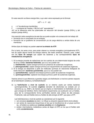 Microbiología y Medios de Cultivo – Práctica de Laboratorio 
76 
En esta reacción se libera energía libre, cuyo valor viene expresado por la fórmula: 
ΔG0'= - n · F · ΔE0' 
n = nº de electrones transferidos 
F = constante de Faraday = 96,6 kJ·volt-1·equivalentes--1 
ΔE0' es la diferencia entre los potenciales de reducción del donador (pareja D/DH2) y del aceptor (pareja A/AH2). 
Una reacción redox exergónica de este tipo se puede acoplar a la consecución de trabajo útil: 
 formación de un compuesto rico en energía; 
 formación de un gradiente de concentración y/o de carga eléctrica a ambos lados de una membrana. 
Ambos tipos de trabajo se pueden usar en la síntesis de ATP. 
Por lo tanto, los seres vivos, para poder obtener su moneda energética (principalmente ATP), han de captar alguna fuente de energía externa, del medio ambiente. Veamos, pues, cuáles son los tipos de energía que captan las bacterias y los correspondientes tipos de metabolismos energéticos: 
1. Si la energía procede de radiaciones (en los cuantos de una determinada longitud de onda de la luz visible): bacterias fototrofas, que a su vez pueden ser: 
a. fotolitotrofas: captan energía lumínica en presencia de sustancias inorgánicas; 
b. fotoorganotrofas: captan energía lumínica con requerimiento de sustancias orgánicas. 
2. Si la energía se desprende a partir de moléculas químicas en reacciones biológicas de óxido-reducción: bacterias quimiotrofas, que a su vez pueden ser: 
a. quimiolitotrofas: captación de energía química a partir de sustancias inorgánicas; 
b. quimiorganotrofas: captación de energía química a partir de sustancias orgánicas. 
Veamos ahora lo que diferencia a grandes rasgos a la fosforilación a nivel de sustrato respecto de la fosforilación oxidativa y la fotofosforilación: 
A) La fosforilación a nivel de sustrato es un sistema usado por ciertas bacterias quimiorganotrofas. El sustrato orgánico (donador de electrones) es oxidado por un coenzima (p. ej., NAD+), de manera que se origina un intermediario no fosforilado con una gran energía de hidrólisis. Dicho intermediario experimenta una sustitución con un fosfato, para dar la correspondiente forma acil-fosfato (siendo este enlace de alta energía). Finalmente, este acil-fosfato dona su fosfato de alta energía al ADP, que pasa a ATP. 
Las fosforilaciones a nivel de sustrato se caracterizan por lo siguiente: 
 son procesos escalares (es decir, no influye su situación espacial dentro de la célula); 
 son series de reacciones bioquímicas en las que la transferencia de un grupo químico (ej., el fosfato) se cataliza por enzimas solubles (en el citoplasma); 
 existen intermediarios metabólicos (antes de llegar al ATP) en los que el fosfato está unido covalentemente.  