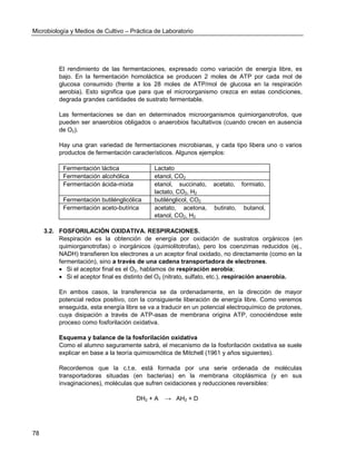 Microbiología y Medios de Cultivo – Práctica de Laboratorio 
78 
El rendimiento de las fermentaciones, expresado como variación de energía libre, es bajo. En la fermentación homoláctica se producen 2 moles de ATP por cada mol de glucosa consumido (frente a los 28 moles de ATP/mol de glucosa en la respiración aerobia). Esto significa que para que el microorganismo crezca en estas condiciones, degrada grandes cantidades de sustrato fermentable. 
Las fermentaciones se dan en determinados microorganismos quimiorganotrofos, que pueden ser anaerobios obligados o anaerobios facultativos (cuando crecen en ausencia de O2). 
Hay una gran variedad de fermentaciones microbianas, y cada tipo libera uno o varios productos de fermentación característicos. Algunos ejemplos: 
Fermentación láctica 
Lactato 
Fermentación alcohólica 
etanol, CO2 
Fermentación ácida-mixta 
etanol, succinato, acetato, formiato, lactato, CO2, H2 
Fermentación butilénglicólica 
butilénglicol, CO2 
Fermentación aceto-butírica 
acetato, acetona, butirato, butanol, etanol, CO2, H2 
3.2. FOSFORILACIÓN OXIDATIVA. RESPIRACIONES. 
Respiración es la obtención de energía por oxidación de sustratos orgánicos (en quimiorganotrofas) o inorgánicos (quimiolitotrofas), pero los coenzimas reducidos (ej., NADH) transfieren los electrones a un aceptor final oxidado, no directamente (como en la fermentación), sino a través de una cadena transportadora de electrones. 
 Si el aceptor final es el O2, hablamos de respiración aerobia; 
 Si el aceptor final es distinto del O2 (nitrato, sulfato, etc.), respiración anaerobia. 
En ambos casos, la transferencia se da ordenadamente, en la dirección de mayor potencial redox positivo, con la consiguiente liberación de energía libre. Como veremos enseguida, esta energía libre se va a traducir en un potencial electroquímico de protones, cuya disipación a través de ATP-asas de membrana origina ATP, conociéndose este proceso como fosforilación oxidativa. 
Esquema y balance de la fosforilación oxidativa 
Como el alumno seguramente sabrá, el mecanismo de la fosforilación oxidativa se suele explicar en base a la teoría quimiosmótica de Mitchell (1961 y años siguientes). 
Recordemos que la c.t.e. está formada por una serie ordenada de moléculas transportadoras situadas (en bacterias) en la membrana citoplásmica (y en sus invaginaciones), moléculas que sufren oxidaciones y reducciones reversibles: 
DH2 + A → AH2 + D 
 