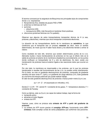 Ramirez - Balqui 
79 
El alumno conocerá por la asignatura de Bioquímica los principales tipos de componentes de las c.t.e. respiratorias 
 flavoproteínas (Fp), dotadas de grupos FAD o FMN 
 proteínas no hémicas de Fe-S 
 quinonas: 
o ubiquinona (UQ) 
o menaquinona (MQ), más frecuente en bacterias Gram-positivas. 
 citocromos (proteínas hémicas con Fe quelado). 
Observar que algunos de estos transportadores transportan átomos de H (o sea, protones y electrones), mientras que otros transportan únicamente electrones. 
La situación de los transportadores dentro de la membrana es asimétrica, lo que condiciona que el transporte sea un proceso vectorial (es decir, tiene un sentido determinado), de modo que los H salen hacia afuera y los electrones tienden a entrar al interior. 
Como resultado de todo ello, tenemos que existen determinados puntos de la c.t.e. (llamados bucles o lazos translocadores de protones) en los que el efecto neto es la salida de protones al exterior de la membrana citoplásmica (concretamente, en los puntos donde confluyen un transportador de H y otro de electrones). Es decir, existe una translocación de protones hacia el exterior ligada a las reacciones redox que ocurren en la c.t.e. 
Por otro lado, la membrana es impermeable a los protones, por lo que los protones translocados a resultas del funcionamiento de las c.t.e. no pueden entrar directamente. Por lo tanto, se crea un gradiente electroquímico de protones, compuesto de gradiente osmótico de esos iones H+ (ΔpH) y un gradiente de carga eléctrica (Δ). Este gradiente es una forma de energía potencial que puede realizar trabajo. 
El valor de este gradiente electroquímico de protones o fuerza protón motriz (f.p.m.) es: 
Δp = Δ –Z · ΔH (expresado en milivoltios, mV), 
Donde Z = 2,3 R · T/F, siendo R = constante de los gases, T = temperatura absoluta, F = constante de Faraday 
Como ya dijimos, esta Δp (f.p.m.) es capaz de realizar trabajo, bajo la forma de: 
 transporte activo 
 alimentar el motor flagelar 
 síntesis de ATP. 
Veamos, pues, cómo se produce esta síntesis de ATP a partir del gradiente de protones: 
 La síntesis de ATP ocurre gracias al complejo ATP-asa, funcionando como ATP- sintetasa. Este complejo consta de varios polipéptidos que conforman dos porciones:  