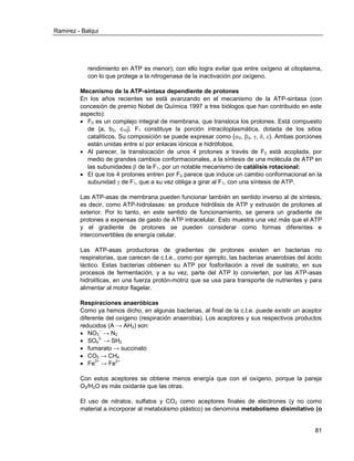 Ramirez - Balqui 
81 
rendimiento en ATP es menor); con ello logra evitar que entre oxígeno al citoplasma, con lo que protege a la nitrogenasa de la inactivación por oxígeno. 
Mecanismo de la ATP-sintasa dependiente de protones 
En los años recientes se está avanzando en el mecanismo de la ATP-sintasa (con concesión de premio Nobel de Química 1997 a tres biólogos que han contribuido en este aspecto): 
 F0 es un complejo integral de membrana, que transloca los protones. Está compuesto de {a, b2, c10}. F1 constituye la porción intracitoplasmática, dotada de los sitios catalíticos. Su composición se puede expresar como {3, 3, , , ). Ambas porciones están unidas entre sí por enlaces iónicos e hidrófobos. 
 Al parecer, la translocación de unos 4 protones a través de F0 está acoplada, por medio de grandes cambios conformacionales, a la síntesis de una molécula de ATP en las subunidades  de la F1, por un notable mecanismo de catálisis rotacional: 
 El que los 4 protones entren por F0 parece que induce un cambio conformacional en la subunidad  de F1, que a su vez obliga a girar al F1, con una síntesis de ATP. 
Las ATP-asas de membrana pueden funcionar también en sentido inverso al de síntesis, es decir, como ATP-hidrolasas: se produce hidrólisis de ATP y extrusión de protones al exterior. Por lo tanto, en este sentido de funcionamiento, se genera un gradiente de protones a expensas de gasto de ATP intracelular. Esto muestra una vez más que el ATP y el gradiente de protones se pueden considerar como formas diferentes e interconvertibles de energía celular. 
Las ATP-asas productoras de gradientes de protones existen en bacterias no respiratorias, que carecen de c.t.e., como por ejemplo, las bacterias anaerobias del ácido láctico. Estas bacterias obtienen su ATP por fosforilación a nivel de sustrato, en sus procesos de fermentación, y a su vez, parte del ATP lo convierten, por las ATP-asas hidrolíticas, en una fuerza protón-motriz que se usa para transporte de nutrientes y para alimentar al motor flagelar. 
Respiraciones anaeróbicas 
Como ya hemos dicho, en algunas bacterias, al final de la c.t.e. puede existir un aceptor diferente del oxígeno (respiración anaerobia). Los aceptores y sus respectivos productos reducidos (A → AH2) son: 
 NO3-- → N2 
 SO42- → SH2 
 fumarato → succinato 
 CO2 → CH4 
 Fe3+ → Fe2+ 
Con estos aceptores se obtiene menos energía que con el oxígeno, porque la pareja O2/H2O es más oxidante que las otras. 
El uso de nitratos, sulfatos y CO2 como aceptores finales de electrones (y no como material a incorporar al metabolismo plástico) se denomina metabolismo disimilativo (o  