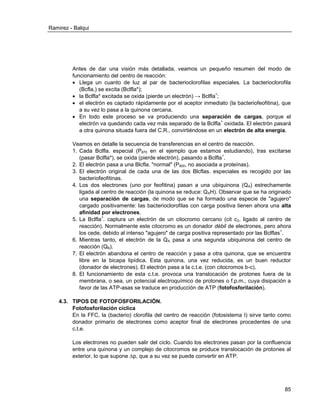 Ramirez - Balqui 
85 
Antes de dar una visión más detallada, veamos un pequeño resumen del modo de funcionamiento del centro de reacción: 
 Llega un cuanto de luz al par de bacterioclorofilas especiales. La bacterioclorofila (Bcfla.) se excita (Bclfla*); 
 la Bclfla* excitada se oxida (pierde un electrón) → Bclfla+; 
 el electrón es captado rápidamente por el aceptor inmediato (la bacteriofeofitina), que a su vez lo pasa a la quinona cercana. 
 En todo este proceso se va produciendo una separación de cargas, porque el electrón va quedando cada vez más separado de la Bclfla+ oxidada. El electrón pasará a otra quinona situada fuera del C.R., convirtiéndose en un electrón de alta energía. 
Veamos en detalle la secuencia de transferencias en el centro de reacción. 
1. Cada Bclfla. especial (P870 en el ejemplo que estamos estudiando), tras excitarse (pasar Bclfla*), se oxida (pierde electrón), pasando a Bclfla+. 
2. El electrón pasa a una Blcfla. "normal" (P800, no asociada a proteínas). 
3. El electrón original de cada una de las dos Blcflas. especiales es recogido por las bacteriofeofitinas. 
4. Los dos electrones (uno por feofitina) pasan a una ubiquinona (QA) estrechamente ligada al centro de reacción (la quinona se reduce: QAH). Observar que se ha originado una separación de cargas, de modo que se ha formado una especie de "agujero" cargado positivamente: las bacterioclorofilas con carga positiva tienen ahora una alta afinidad por electrones. 
5. La Bclfla+. captura un electrón de un citocromo cercano (cit c2, ligado al centro de reacción). Normalmente este citocromo es un donador débil de electrones, pero ahora los cede, debido al intenso "agujero" de carga positiva representado por las Bclflas+. 
6. Mientras tanto, el electrón de la QA pasa a una segunda ubiquinona del centro de reacción (QB). 
7. El electrón abandona el centro de reacción y pasa a otra quinona, que se encuentra libre en la bicapa lipídica. Esta quinona, una vez reducida, es un buen reductor (donador de electrones). El electrón pasa a la c.t.e. (con citocromos b-c). 
8. El funcionamiento de esta c.t.e. provoca una translocación de protones fuera de la membrana, o sea, un potencial electroquímico de protones o f.p.m., cuya disipación a favor de las ATP-asas se traduce en producción de ATP (fotofosforilación). 
4.3. TIPOS DE FOTOFOSFORILACIÓN. 
Fotofosforilación cíclica 
En la FFC, la (bacterio) clorofila del centro de reacción (fotosistema I) sirve tanto como donador primario de electrones como aceptor final de electrones procedentes de una c.t.e. 
Los electrones no pueden salir del ciclo. Cuando los electrones pasan por la confluencia entre una quinona y un complejo de citocromos se produce translocación de protones al exterior, lo que supone Δp, que a su vez se puede convertir en ATP. 
 
