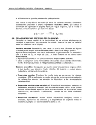 Microbiología y Medios de Cultivo – Práctica de Laboratorio 
88 
 autooxidación de quinonas, ferredoxinas y flavoproteínas. 
Este radical es muy tóxico, de modo que todas las bacterias aerobias y anaerobias 
aerotolerantes presentan el enzima superóxido dismutasa (SOD), que cataliza la 
conversión del superóxido en oxígeno molecular y agua oxigenada, que a su vez se 
destruye por los mecanismos que acabamos de ver: 
2 O2 
- + 2 H+  SOD 
O2 + H2O2 
6.2. RELACIONES DE LAS BACTERIAS CON EL OXÍGENO. 
Dependen en buena medida de la disponibilidad de las enzimas eliminadoras de 
peróxidos y superóxidos, que acabamos de estudiar. Veamos los tipos de bacterias 
según sus relaciones con el oxígeno: 
Bacterias aerobias: Necesitan O2 para crecer, ya que lo usan (al menos en algunas 
ocasiones) como aceptor final de electrones para la captación de energía química. 
Algunos aerobios requieren para crecer tensiones de oxígeno inferiores a la atmosférica 
(del 2 al 10% de O2, en lugar del 20%). A estas bacterias se las califica como 
microaerófilas. 
 Algunas microaerófilas lo son permanentemente (microaerófilas estrictas). 
 Otras se comportan como microaerófilas sólo cuando crecen usando determinadas 
fuentes de energía química o de nitrógeno (microaerófilas condicionales). 
Bacterias anaerobias: Son aquellas que pueden crecer en ausencia de oxígeno, debido 
a que pueden usar aceptores finales distintos del oxígeno, o porque poseen 
metabolismo estrictamente fermentativo. 
 Anaerobias estrictas: El oxígeno les resulta tóxico ya que carecen de catalasa, 
peroxidasa y SOD, y por lo tanto, no pueden eliminar los productos nocivos resultantes 
del oxígeno.(Por ejemplo, las especies de Clostridium, y las arqueobacterias 
metanogénicas). 
 Anaerobias aerotolerantes (aerodúricas): Al igual que las anteriores, presentan un 
metabolismo energético anaerobio, pero soportan el oxígeno debido a que poseen 
enzimas detoxificadores. Ejemplos típicos son las bacterias del ácido láctico, como 
Streptococcus, Leuconostoc, Lactobacillus). También se les llama anaerobios 
indiferentes. 
 Anaerobios facultativos: Pueden realizar metabolismo energético aerobio o 
anaerobio, dependiendo del ambiente y la disponibilidad de aceptores finales de 
electrones. Ejemplos son las enterobacterias como E. coli. 
 