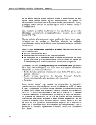Microbiología y Medios de Cultivo – Práctica de Laboratorio 
94 
En los medios helados existen pequeñas bolsas o microcavidades de agua líquida, donde pueden medrar algunos microorganismos. Un ejemplo no bacteriano muy característico es el alga de las nieves (Chlamydomonas nivalis), que llega a conferir color rojo a la nieve en algunas zonas de montaña a mitad de la estación estival. 
Los psicrotrofos (psicrófilos facultativos) son más abundantes, ya que están adaptados a soportar grandes oscilaciones térmicas, y en verano pueden crecer a unos 30oC-40ºC. 
Algunas bacterias y hongos pueden crecer en alimentos (carne, leche, frutas y hortalizas) que se guardan en frigoríficos, alterando las cualidades organolépticas e incluso, echándolos a perder (una experiencia que casi todos hemos tenido). 
Las principales adaptaciones bioquímicas a medios fríos exhibidas por estos microorganismos son: 
 enzimas más resistentes al frío; 
 sistemas de transporte adaptados a bajas temperaturas; 
 los fosfolípidos de la membrana celular aumentan la proporción de ácidos grasos insaturados (y en algunas bacterias, poliinsaturados); ello supone que la membrana sigue en su estado semifluido, evitándose su congelación. 
Los hábitats naturales con temperaturas permanentemente altas (por encima de 45-50oC) están restringidas a unas pocas zonas de la biosfera, normalmente relacionadas con fenómenos volcánicos: 
 fuentes termales volcánicas terrestres (en zonas de EE UU, Japón, Nueva Zelanda e Islandia); 
 fuentes termales submarinas: los llamados "humeros" (fumarolas hidrotermales) asociados a las grandes dorsales oceánicas); 
 fumarolas. 
Como ejemplo "clásico", muy conocido por documentales de divulgación, recordemos que en el famoso Parque Nacional de Yellowstone, en EE UU, existe la mayor concentración mundial de fuentes volcánicas, con géiseres que emiten a más de 100oC, siendo esta temperatura bastante constante, con oscilaciones de +/- 1 ó 2oC. Cuando esta agua sale, lo hace a punto de ebullición. El riachuelo que genera va bajando su temperatura en su recorrido, de modo que se genera un gradiente de temperatura en el que se pueden estudiar fascinantes comunidades microbianas adaptadas a esas diversas temperaturas. Allí fue donde T.D. Brock descubrió la eubacteria termófila Thermus aquaticus, de la que se extrae la ADN polimerasa termorresistente empleada en la reacción en cadena de la polimerasa (PCR). Recientemente se está recurriendo a usar la polimerasa de una arquea hipertermófila, Pyrococcus furiosus, que funciona muy bien a 100ºC. 
 
