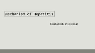 Microbiology 2 Hepatitis B Presentation | PPTX