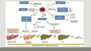 Microbiology 2 Hepatitis B Presentation | PPTX