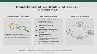 Isolation Bio Microbio Group 9.pptx Isolation of soil bacteria | PPTX