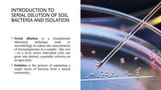 Siol Serial Microbio Group 9.pptx Isolation of soil bacteria | PPTX