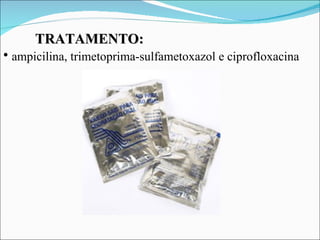 TRATAMENTO:
• ampicilina, trimetoprima-sulfametoxazol e ciprofloxacina
 