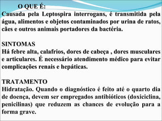 O QUE É:
Causada pela Leptospira interrogans, é transmitida pela
água, alimentos e objetos contaminados por urina de ratos,
cães e outros animais portadores da bactéria.

SINTOMAS
Há febre alta, calafrios, dores de cabeça , dores musculares
e articulares. É necessário atendimento médico para evitar
complicações renais e hepáticas.

TRATAMENTO
Hidratação. Quando o diagnóstico é feito até o quarto dia
de doença, devem ser empregados antibióticos (doxiciclina,
penicilinas) que reduzem as chances de evolução para a
forma grave.
 