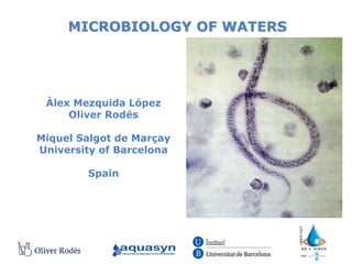 MICROBIOLOGY OF WATERS
Àlex Mezquida López
Oliver Rodés
Miquel Salgot de Marçay
University of Barcelona
Spain
 