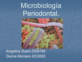Microbiología
       Periodontal.




Angelina Suero DD8740
Decire Montero DC0005
 