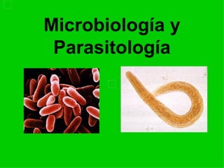 Microbiología y Parasitología 
