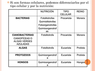 Si son formas celulares, podemos diferenciarlos por el tipo celular y por la nutrición: NUTRICIÓN  TIPO CELULAR  REINO  BACTERIAS   Fotolitotrofas Quimiolitotrofas Fotoorganotrofas Quimioorganotrofas  Procariota Monera CIANOBACTERIAS CIANOFÍCEAS O ALGAS VERDES AZULADAS Fotolitotrofa Procariota Monera ALGAS Fotolitotrofa Eucariota Protista PROTOZOOS Quimioorganotrofa Eucariota Protista HONGOS Quimioorganotrofa Eucariota Hongos 