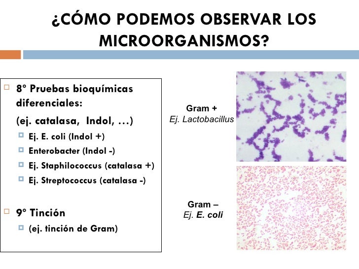 Los medios públicos del hongo del pies en los pies rápidamente