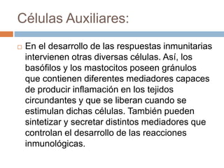 Células Auxiliares:
 En el desarrollo de las respuestas inmunitarias
intervienen otras diversas células. Así, los
basófilos y los mastocitos poseen gránulos
que contienen diferentes mediadores capaces
de producir inflamación en los tejidos
circundantes y que se liberan cuando se
estimulan dichas células. También pueden
sintetizar y secretar distintos mediadores que
controlan el desarrollo de las reacciones
inmunológicas.
 