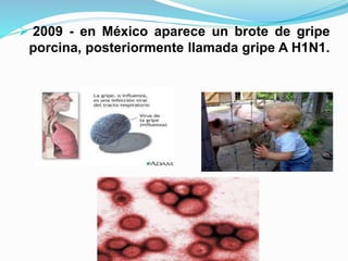  2009 - en México aparece un brote de gripe
porcina, posteriormente llamada gripe A H1N1.
 