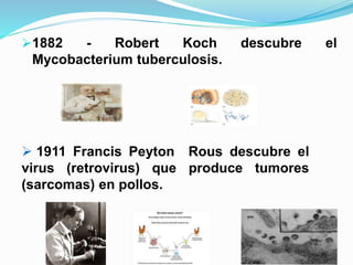 1882 - Robert Koch descubre el
Mycobacterium tuberculosis.
 1911 Francis Peyton Rous descubre el
virus (retrovirus) que produce tumores
(sarcomas) en pollos.
 