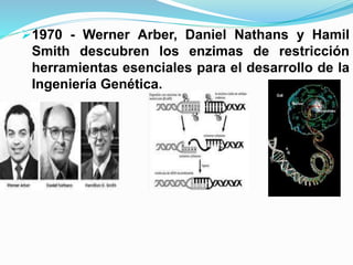 1970 - Werner Arber, Daniel Nathans y Hamil
Smith descubren los enzimas de restricción
herramientas esenciales para el desarrollo de la
Ingeniería Genética.
 