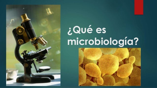 Microbiologia medica
