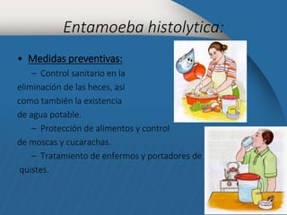 Entamoeba histolytica: 
• Medidas preventivas: 
– Control sanitario en la 
eliminación de las heces, así 
como también la existencia 
de agua potable. 
– Protección de alimentos y control 
de moscas y cucarachas. 
– Tratamiento de enfermos y portadores de 
quistes. 
 