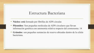 Estructura Bacteriana
• Núcleo: está formado por fibrillas de ADN circular.
• Plásmidos: Son pequeñas moléculas de ADN circulares que llevan
información genética con autonomía relativa respecto del cromosoma. 14
• Gránulos: son pequeñas sustancias de reserva ubicadas dentro de la célula
bacteriana.
 