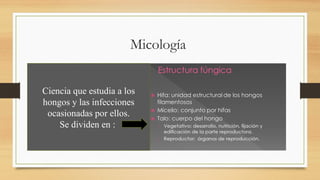 Micología
Ciencia que estudia a los
hongos y las infecciones
ocasionadas por ellos.
Se dividen en :
 