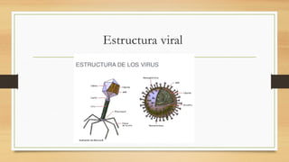 Estructura viral
 