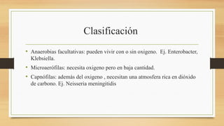 Clasificación
• Anaerobias facultativas: pueden vivir con o sin oxigeno. Ej. Enterobacter,
Klebsiella.
• Microaerófilas: necesita oxigeno pero en baja cantidad.
• Capnófilas: además del oxigeno , necesitan una atmosfera rica en dióxido
de carbono. Ej. Neisseria meningitidis
 