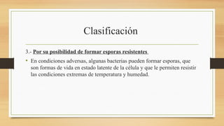 Clasificación
3.- Por su posibilidad de formar esporas resistentes
• En condiciones adversas, algunas bacterias pueden formar esporas, que
son formas de vida en estado latente de la célula y que le permiten resistir
las condiciones extremas de temperatura y humedad.
 