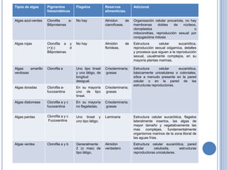 Tipos de algas Pigmentos
fotosintéticos
Flagelos Reservas
alimenticias.
Adicional
Algas azul-verdes Clorofila a-
Biliproteinas
No hay Almidon de
cianoficeas.
Organización celular procariota, no hay
membranas dobles de núcleos,
cloroplastos o
mitocondrias, reproducción sexual por
conjugacióna mitosis
Algas rojas Clorofila a y
(+)(-) d
Biliproteinas
No hay Almidón de
florideas.
Estructura celular eucariótica,
reproducción sexual oógamica, detalles
y procesos que siguen a la reproducción
sexual, usualmente complejos, en su
mayoría plantas marinas.
Algas amarillo
verdosas
Clorofila a Uno tipo tinsel
y uno látigo, de
longitud
desigual.
Crisolaminaria;
grasas
Estructura celular eucariótica,
básicamente unicelulares o coloniales,
sílice a menudo presente en la pared
celular o en la pared de las
estructuras reproductoras.
Algas doradas Clorofila a-
fucoxantina
En su mayoría
uno de tipo
tinsel.
Crisolaminaria;
grasas
Algas diatomeas Clorofila a y c
fucoxantina
En su mayoría
no flageladas.
Crisolaminaria;
grasas
Algas pardas Clorofila a y c
Fucoxantina
Uno tinsel y
uno tipo látigo.
Laminaria Estructura celular eucariótica, flagelos
lateralmente insertos, las algas de
mayor tamaño y vegetativamente las
mas complejas, fundamentalmente
organismos marinos de la zona litoral de
las aguas frías.
Algas verdes Clorofila a y b Generalmente
2 (o mas) de
tipo látigo.
Almidón
verdadero
Estructura celular eucariótica, pared
celular celulosita, estructuras
reproductoras unicelulares.
 