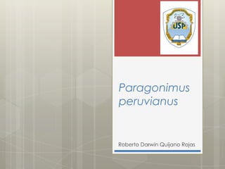 Paragonimus peruvianus Roberto Darwin Quijano Rojas 