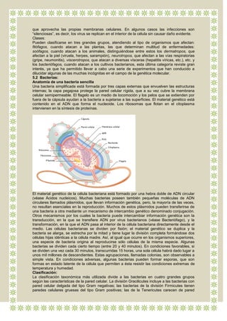 que aprovecha las propias membranas celulares. En algunos casos las infecciones son
“silenciosas”, es decir, los virus se replican en el interior de la célula sin causar daño evidente.
Clases:
Pueden clasificarse en tres grandes grupos, atendiendo al tipo de organismos que afectan:
fitófagos, cuando atacan a las plantas, las que determinan multitud de enfermedades:
soófagos, cuando atacan a los animales, distinguiéndose entre estos los dermatropos, que
afectan a la piel (viruela, herpes, sarampión), neurotropos, que afectan a las vías respiratorias
(gripe, neumonitis), viscerotropos, que atacan a diversas vísceras (hepatitis víricas, etc.), etc. y
los bacteriófagos, cuando atacan a los cultivos bacterianos, esta última categoría reviste gran
interés, ya que ha permitido llevar a cabo una serie de experimentos que han conducido a
dilucidar algunas de las muchas incógnitas en el campo de la genética molecular.
5.2 Bacterias:
Anatomía de una bacteria sencilla
Una bacteria simplificada está formada por tres capas externas que envuelven las estructuras
internas; la capa pegajosa protege la pared celular rígida, que a su vez cubre la membrana
celular semipermeable. El flagelo es un medio de locomoción y los pelos que se extienden por
fuera de la cápsula ayudan a la bacteria a sujetarse a las superficies. El material genético está
contenido en el ADN que forma el nucleoide. Los ribosomas que flotan en el citoplasma
intervienen en la síntesis de proteínas.




El material genético de la célula bacteriana está formado por una hebra doble de ADN circular
(véase Ácidos nucleicos). Muchas bacterias poseen también pequeñas moléculas de ADN
circulares llamados plásmidos, que llevan información genética, pero, la mayoría de las veces,
no resultan esenciales en la reproducción. Muchos de estos plásmidos pueden transferirse de
una bacteria a otra mediante un mecanismo de intercambio genético denominado conjugación.
Otros mecanismos por los cuales la bacteria puede intercambiar información genética son la
transducción, en la que se transfiere ADN por virus bacterianos (véase Bacteriófago), y la
transformación, en la que el ADN pasa al interior de la célula bacteriana directamente desde el
medio. Las células bacterianas se dividen por fisión; el material genético se duplica y la
bacteria se alarga, se estrecha por la mitad y tiene lugar la división completa formándose dos
células hijas idénticas a la célula madre. Así, al igual que ocurre en los organismos superiores,
una especie de bacteria origina al reproducirse sólo células de la misma especie. Algunas
bacterias se dividen cada cierto tiempo (entre 20 y 40 minutos). En condiciones favorables, si
se dividen una vez cada 30 minutos, transcurridas 15 horas, una sola célula habrá dado lugar a
unos mil millones de descendientes. Estas agrupaciones, llamadas colonias, son observables a
simple vista. En condiciones adversas, algunas bacterias pueden formar esporas, que son
formas en estado latente de la célula que permiten a ésta resistir las condiciones extremas de
temperatura y humedad.
Clasificación:
La clasificación taxonómica más utilizada divide a las bacterias en cuatro grandes grupos
según las características de la pared celular. La división Gracilicutes incluye a las bacterias con
pared celular delgada del tipo Gram negativas; las bacterias de la división Firmicutes tienen
paredes celulares gruesas del tipo Gram positivas; las de la Tenericutes carecen de pared
 